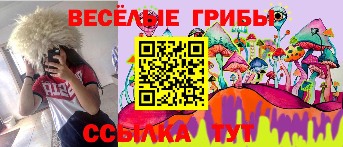 Галлюциногенные грибы MAGIC MUSHROOMS  Вход с VPN  Ржев  Галлюциногенные грибы Magic Shrooms 